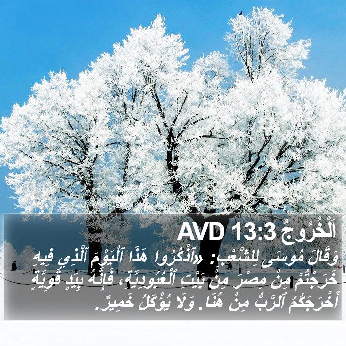 اَلْخُرُوجُ 13:3 AVD Bible Study