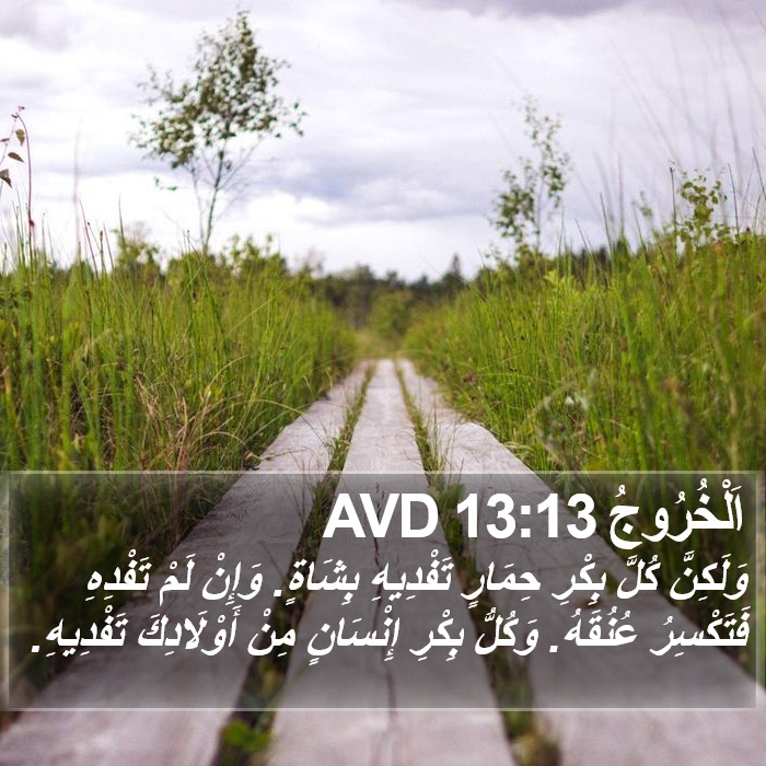 اَلْخُرُوجُ 13:13 AVD Bible Study