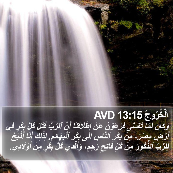 اَلْخُرُوجُ 13:15 AVD Bible Study