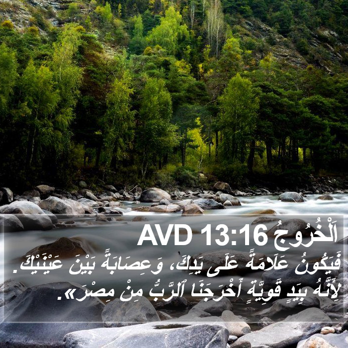 اَلْخُرُوجُ 13:16 AVD Bible Study