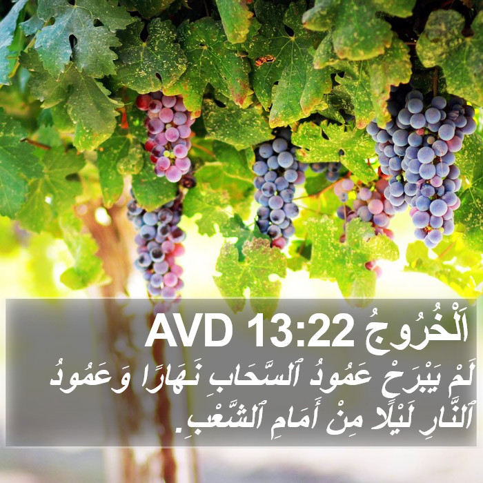اَلْخُرُوجُ 13:22 AVD Bible Study