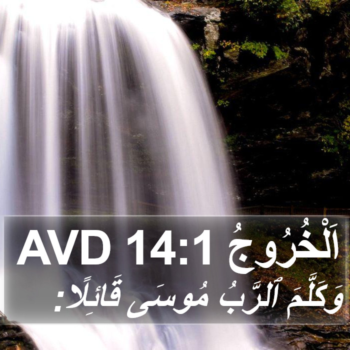 اَلْخُرُوجُ 14:1 AVD Bible Study