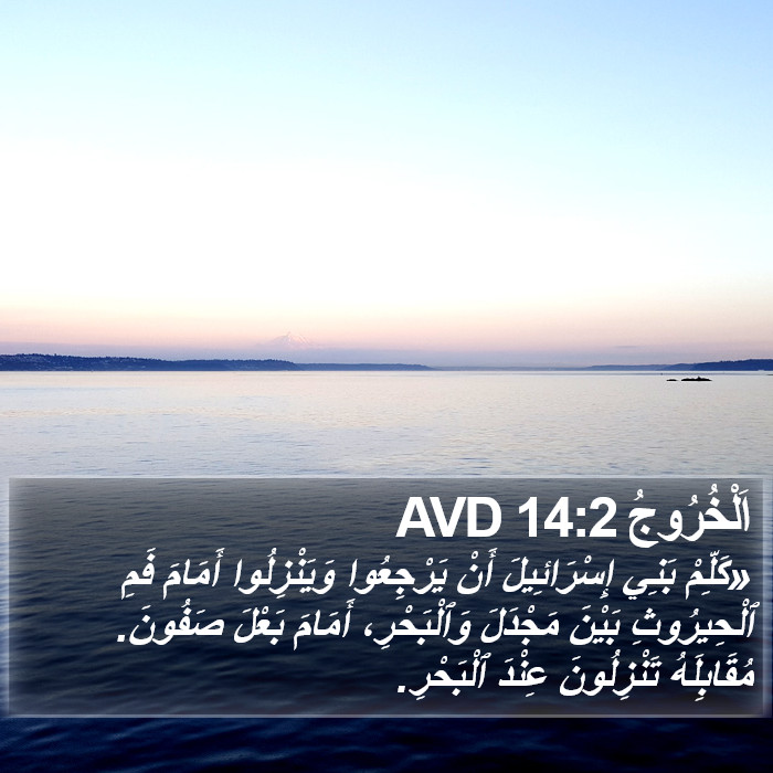 اَلْخُرُوجُ 14:2 AVD Bible Study