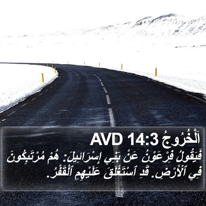 اَلْخُرُوجُ 14:3 AVD Bible Study