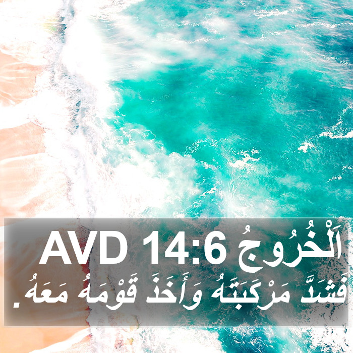 اَلْخُرُوجُ 14:6 AVD Bible Study