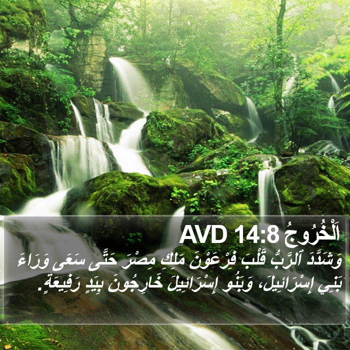 اَلْخُرُوجُ 14:8 AVD Bible Study