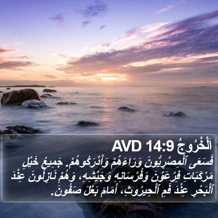 اَلْخُرُوجُ 14:9 AVD Bible Study