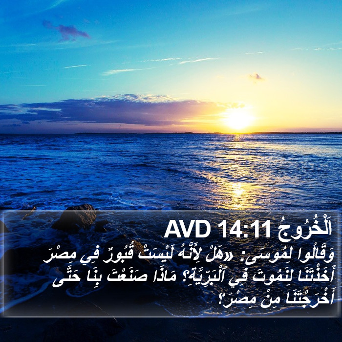 اَلْخُرُوجُ 14:11 AVD Bible Study