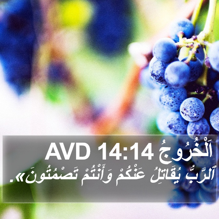 اَلْخُرُوجُ 14:14 AVD Bible Study