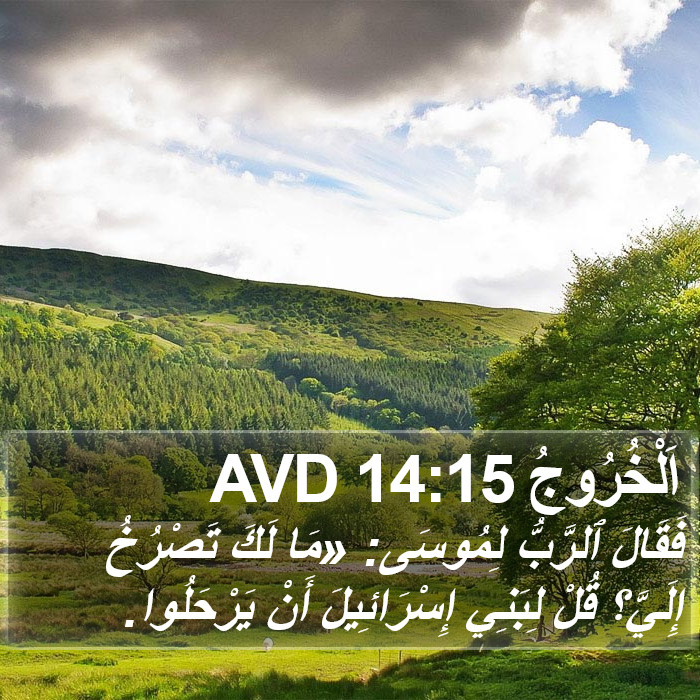 اَلْخُرُوجُ 14:15 AVD Bible Study