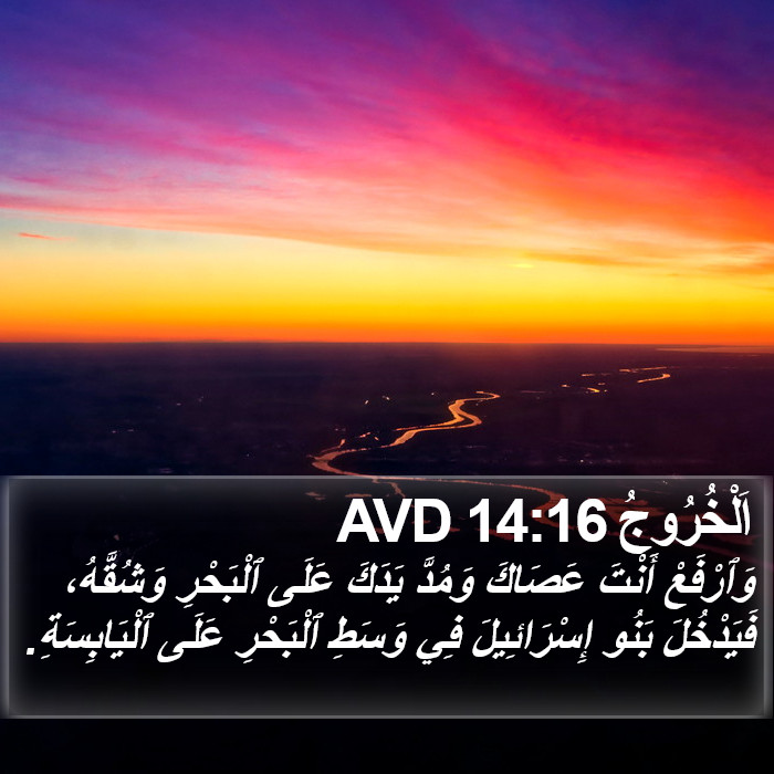 اَلْخُرُوجُ 14:16 AVD Bible Study