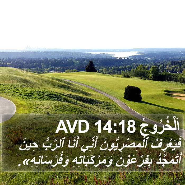 اَلْخُرُوجُ 14:18 AVD Bible Study