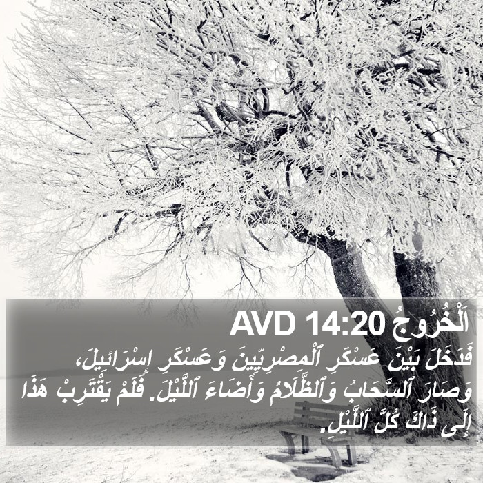 اَلْخُرُوجُ 14:20 AVD Bible Study