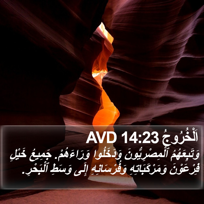 اَلْخُرُوجُ 14:23 AVD Bible Study