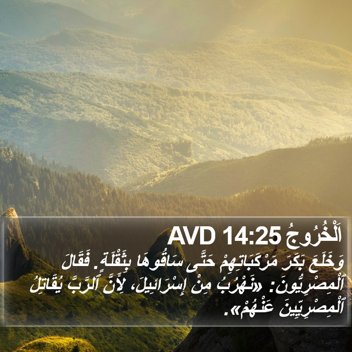 اَلْخُرُوجُ 14:25 AVD Bible Study