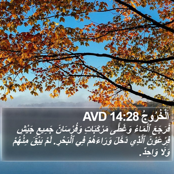 اَلْخُرُوجُ 14:28 AVD Bible Study