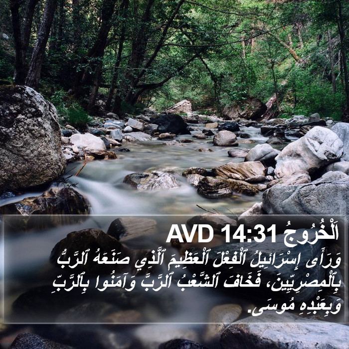 اَلْخُرُوجُ 14:31 AVD Bible Study