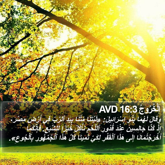 اَلْخُرُوجُ 16:3 AVD Bible Study