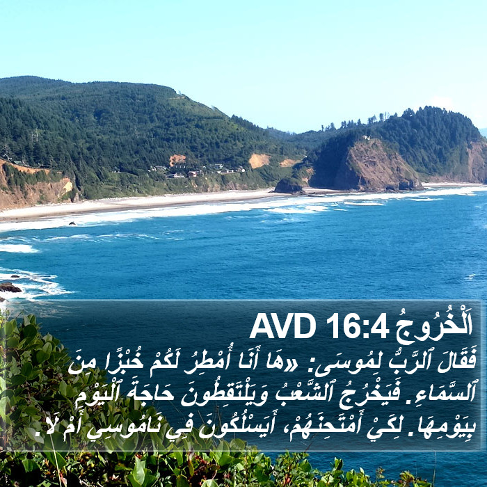 اَلْخُرُوجُ 16:4 AVD Bible Study