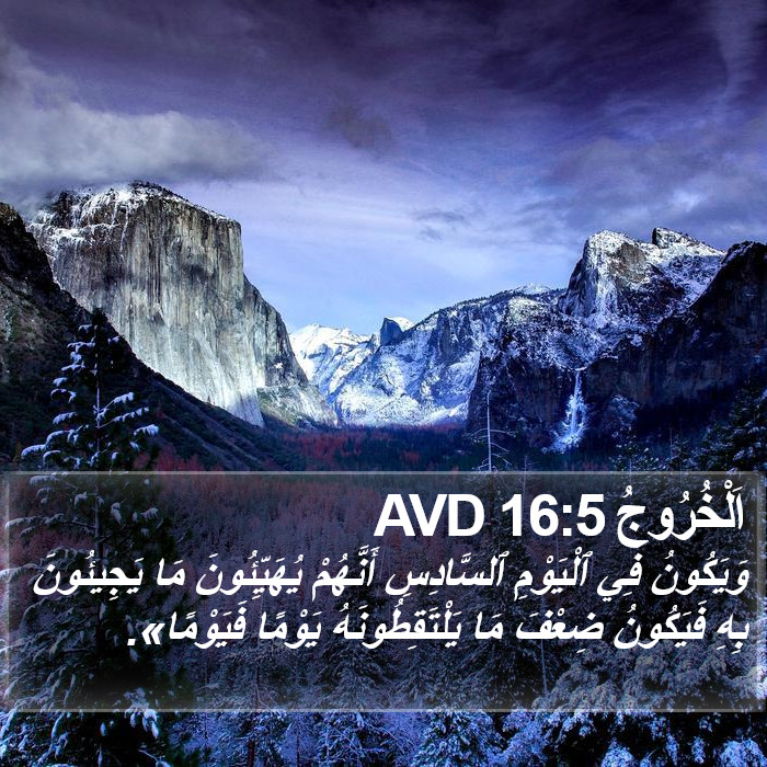 اَلْخُرُوجُ 16:5 AVD Bible Study