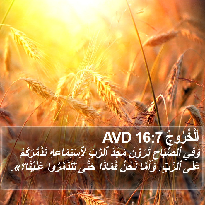 اَلْخُرُوجُ 16:7 AVD Bible Study
