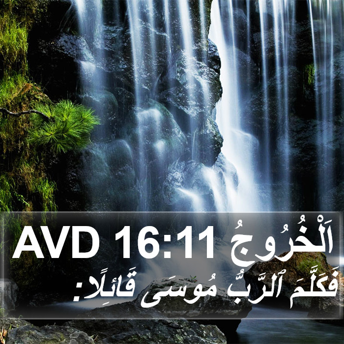 اَلْخُرُوجُ 16:11 AVD Bible Study