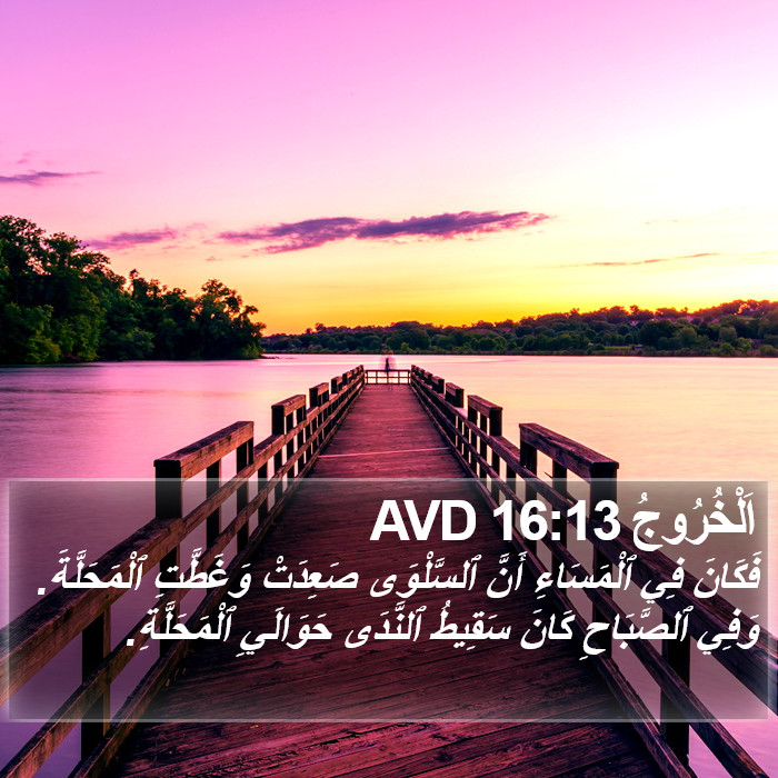 اَلْخُرُوجُ 16:13 AVD Bible Study
