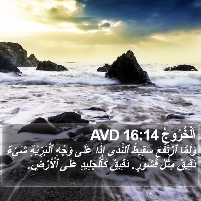 اَلْخُرُوجُ 16:14 AVD Bible Study