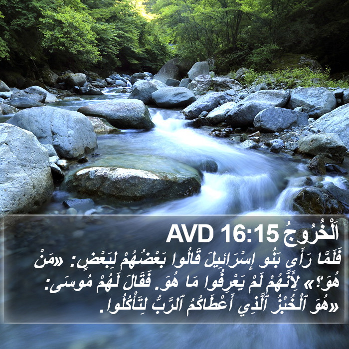 اَلْخُرُوجُ 16:15 AVD Bible Study