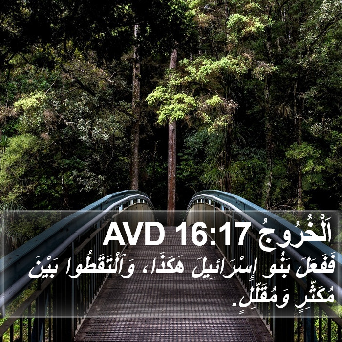 اَلْخُرُوجُ 16:17 AVD Bible Study