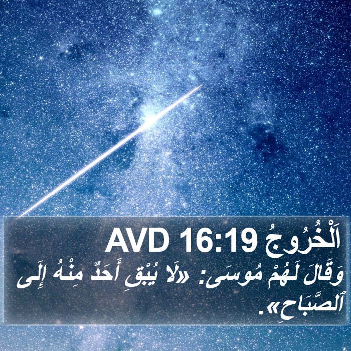 اَلْخُرُوجُ 16:19 AVD Bible Study