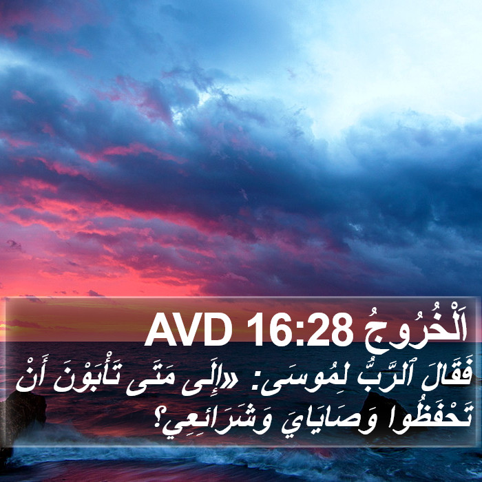 اَلْخُرُوجُ 16:28 AVD Bible Study