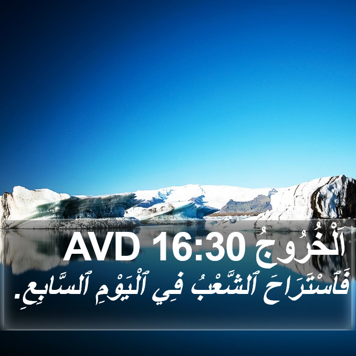 اَلْخُرُوجُ 16:30 AVD Bible Study