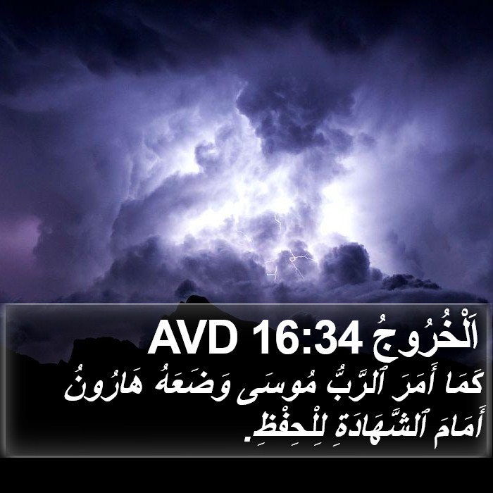 اَلْخُرُوجُ 16:34 AVD Bible Study