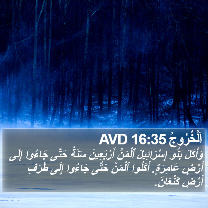 اَلْخُرُوجُ 16:35 AVD Bible Study