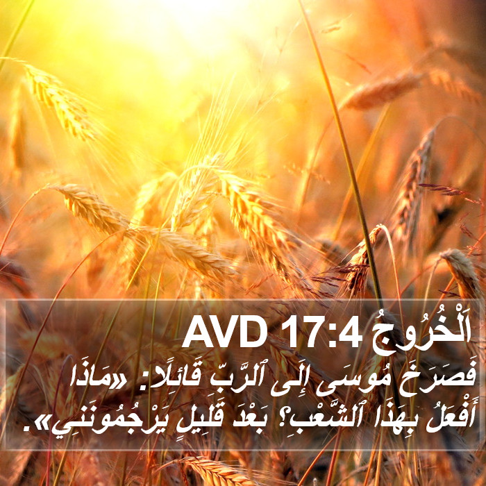 اَلْخُرُوجُ 17:4 AVD Bible Study