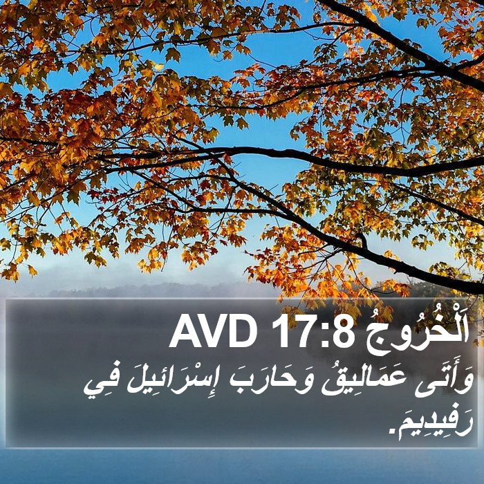 اَلْخُرُوجُ 17:8 AVD Bible Study