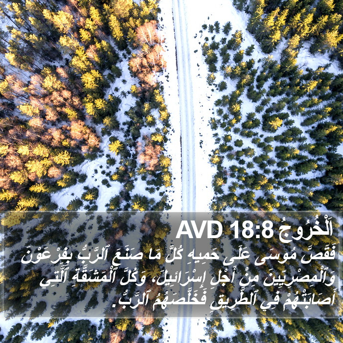 اَلْخُرُوجُ 18:8 AVD Bible Study