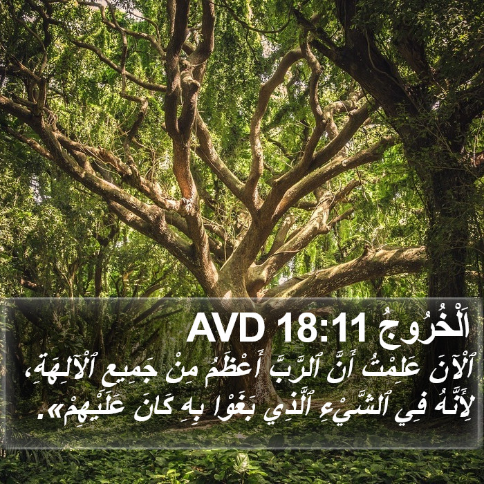 اَلْخُرُوجُ 18:11 AVD Bible Study