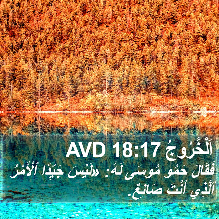 اَلْخُرُوجُ 18:17 AVD Bible Study