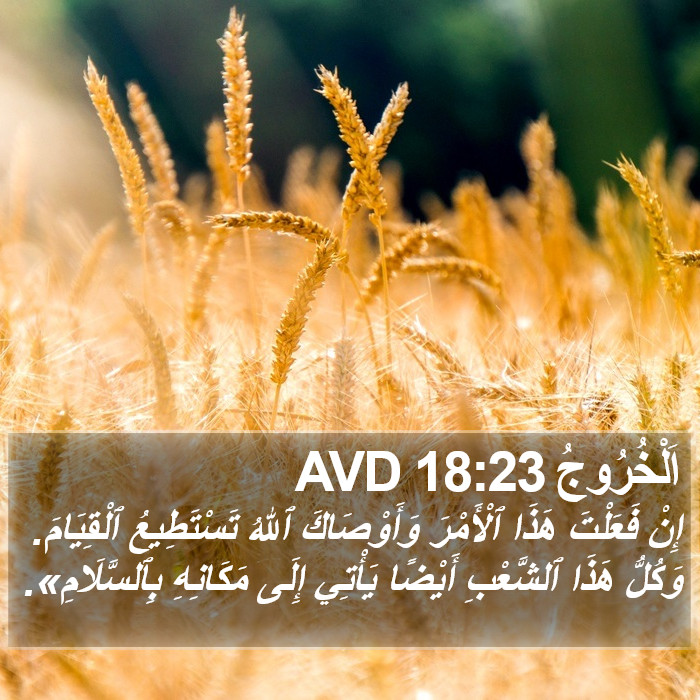 اَلْخُرُوجُ 18:23 AVD Bible Study