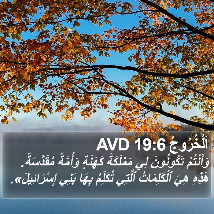 اَلْخُرُوجُ 19:6 AVD Bible Study