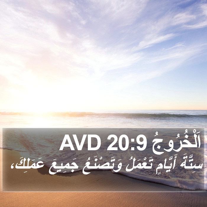 اَلْخُرُوجُ 20:9 AVD Bible Study