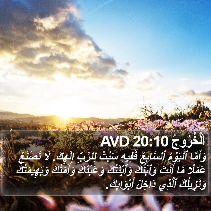 اَلْخُرُوجُ 20:10 AVD Bible Study