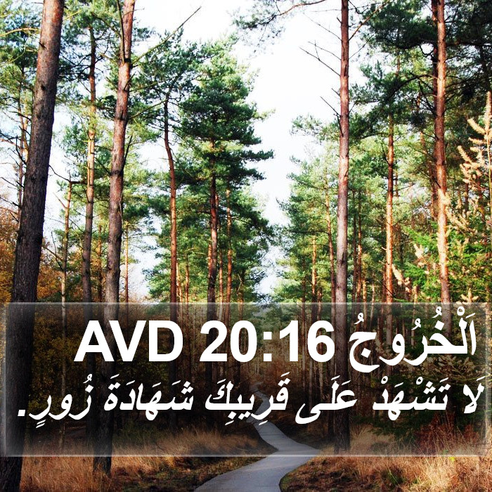 اَلْخُرُوجُ 20:16 AVD Bible Study