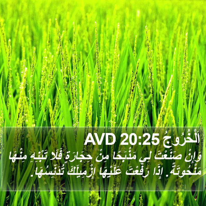 اَلْخُرُوجُ 20:25 AVD Bible Study