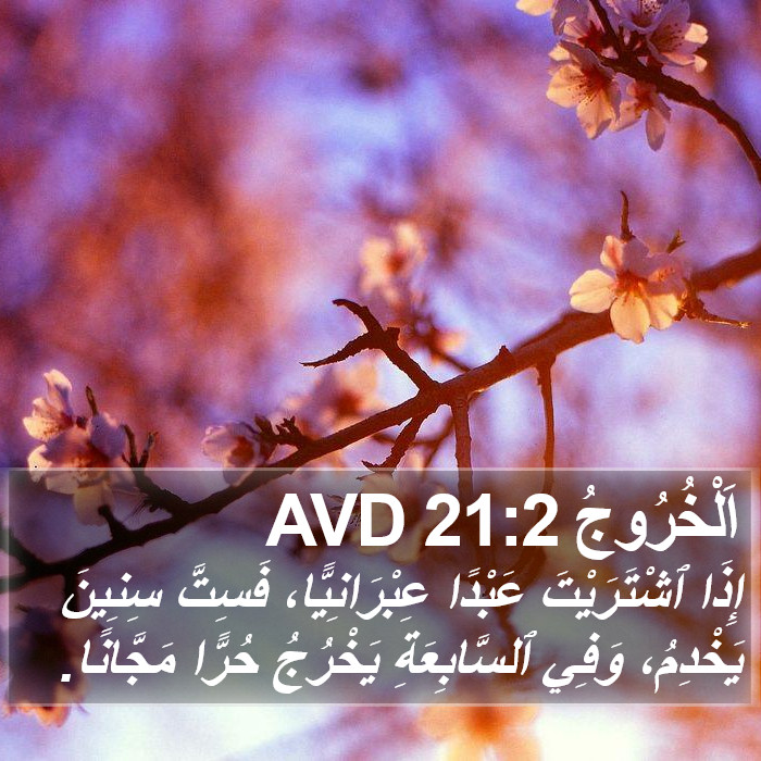 اَلْخُرُوجُ 21:2 AVD Bible Study