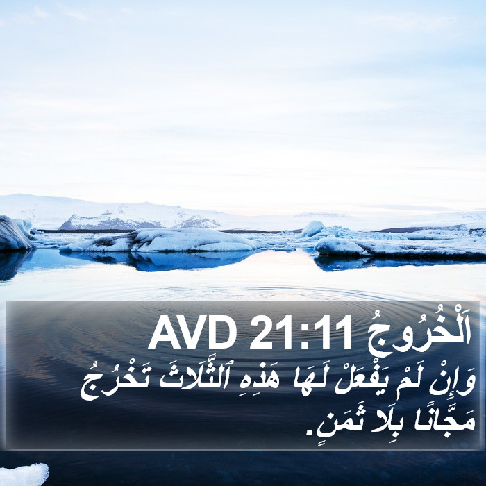 اَلْخُرُوجُ 21:11 AVD Bible Study