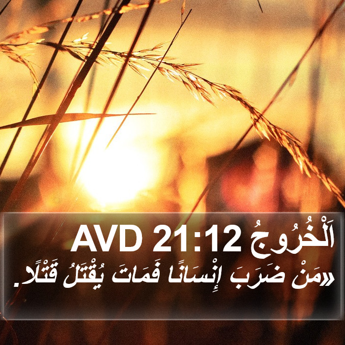 اَلْخُرُوجُ 21:12 AVD Bible Study