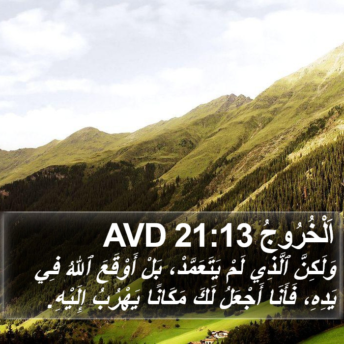 اَلْخُرُوجُ 21:13 AVD Bible Study